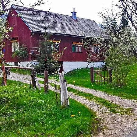 Draga Koncar Guest House Vrelo Koreničko 外观 照片