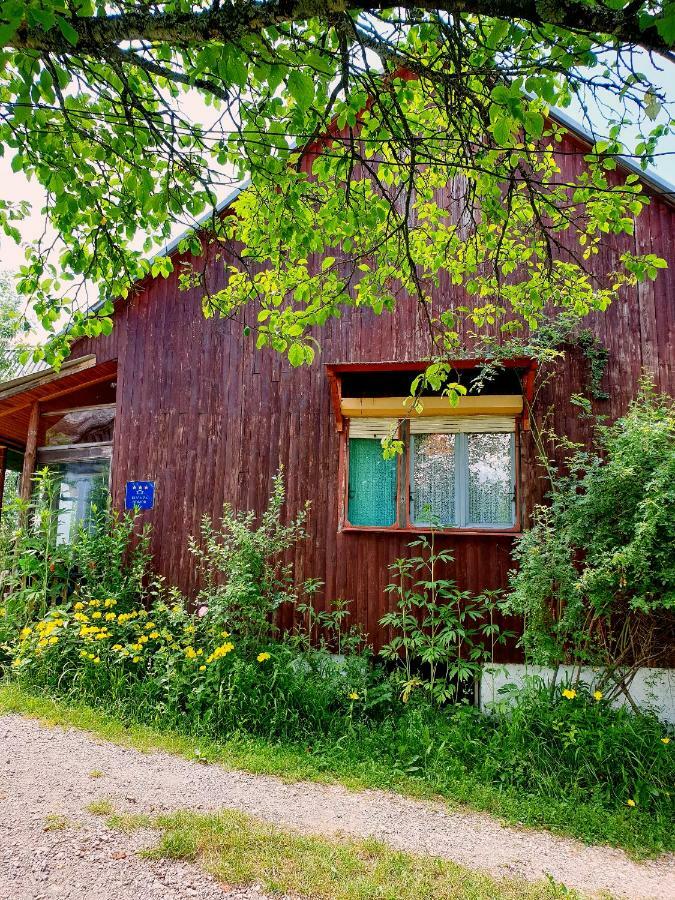 Draga Koncar Guest House Vrelo Koreničko 外观 照片