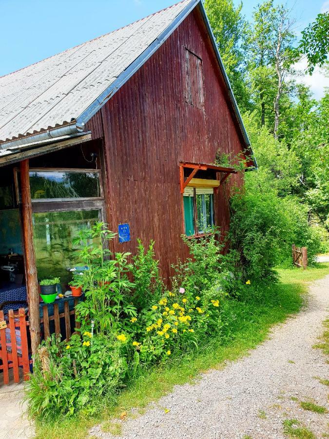 Draga Koncar Guest House Vrelo Koreničko 外观 照片
