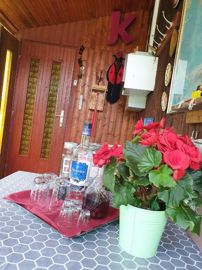 Draga Koncar Guest House Vrelo Koreničko 外观 照片