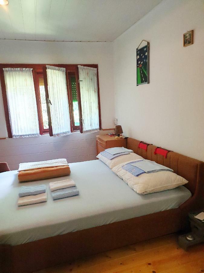 Draga Koncar Guest House Vrelo Koreničko 外观 照片