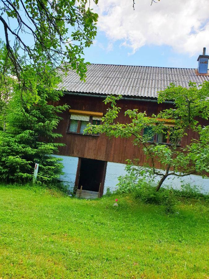 Draga Koncar Guest House Vrelo Koreničko 外观 照片