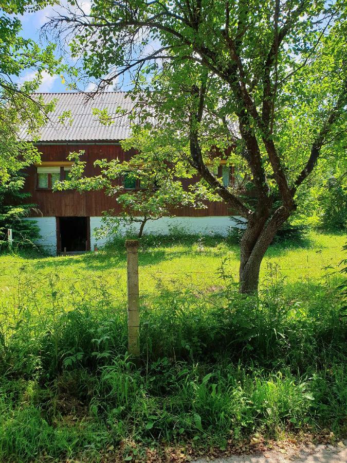 Draga Koncar Guest House Vrelo Koreničko 外观 照片