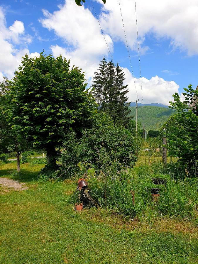 Draga Koncar Guest House Vrelo Koreničko 外观 照片