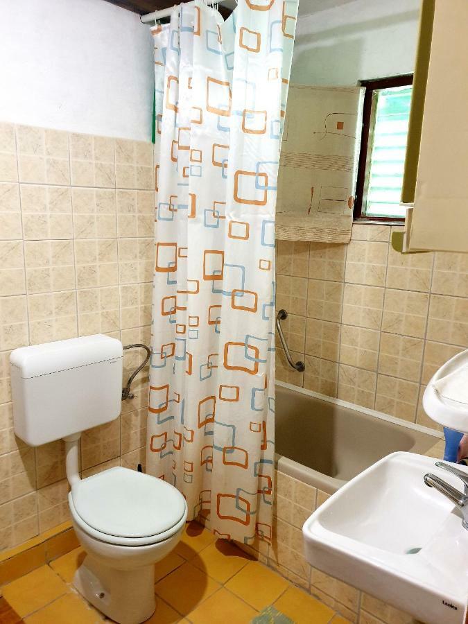Draga Koncar Guest House Vrelo Koreničko 外观 照片
