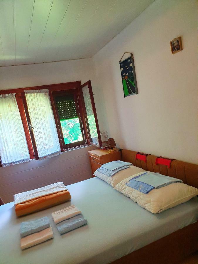 Draga Koncar Guest House Vrelo Koreničko 外观 照片