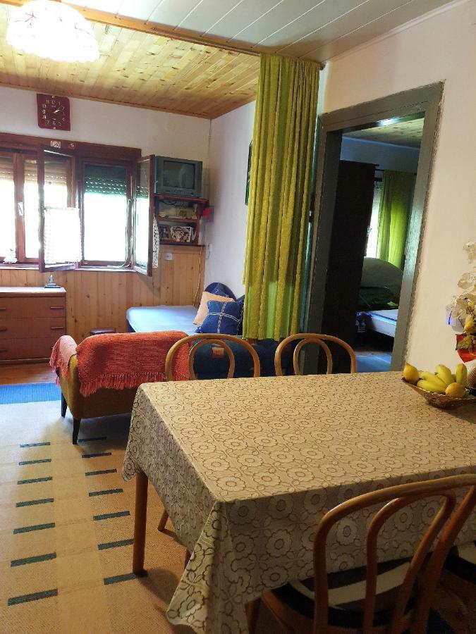 Draga Koncar Guest House Vrelo Koreničko 外观 照片